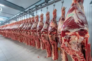El consumo de carne creció un 4,6% anual en Argentina
