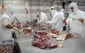 El consumo de carne del primer trimestre de 2024 fue el más bajo en 30 años