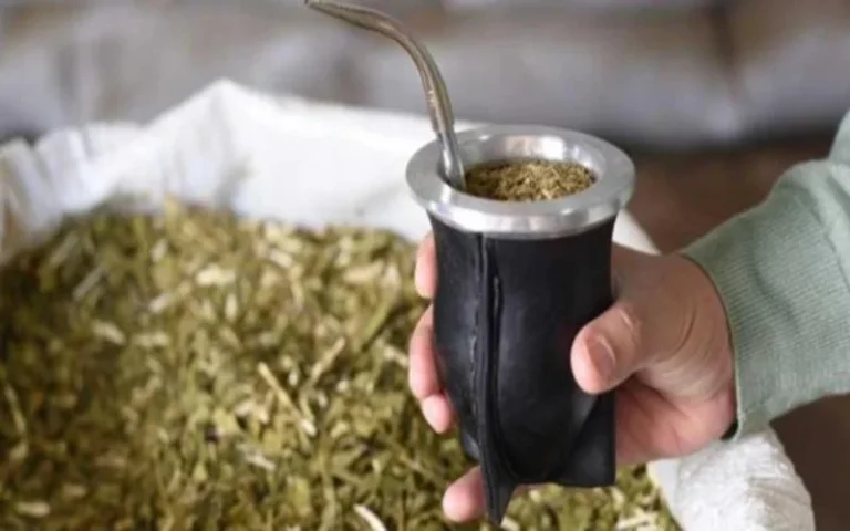 El consumo de yerba mate cayó 8,8% en lo que va del año