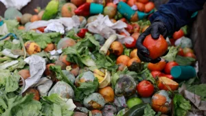 El desperdicio de comida apta de los argentinos es de 38kg al año