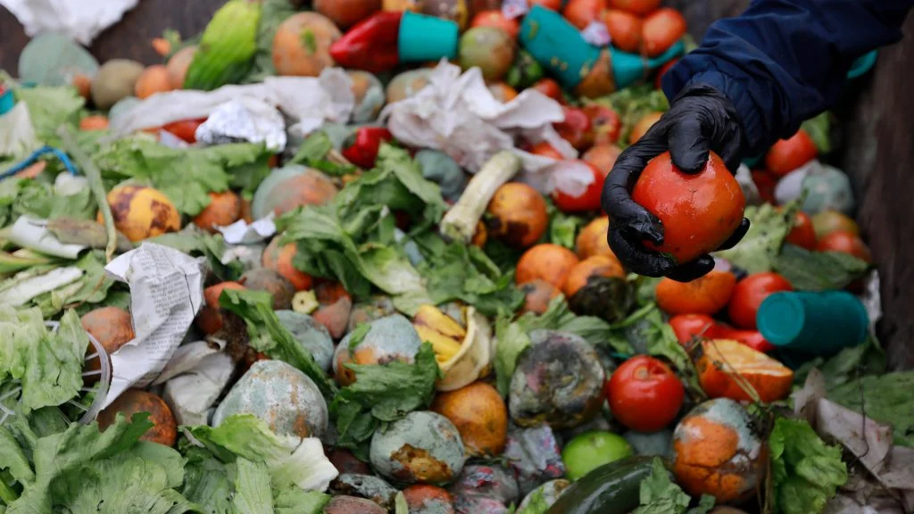 El desperdicio de comida apta de los argentinos es de 38kg al año