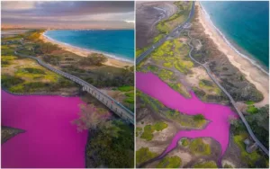 El enigma de un lago teñido de rosa en Hawái