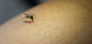 dengue Santa Fe