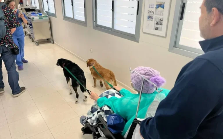 El hospital Vilela avanza hacia la incorporación de animales en el acompañamiento terapéutico de pacientes