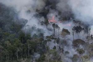 alertan que el humo de los incendios del amazonas llegará a rosario