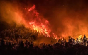 El incendio en el Parque Nahuel Huapi arrasó dos mil hectáreas