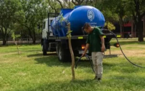El municipio avanza con la plantación de árboles en los barrios