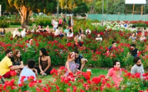 El municipio entregará esquejes de rosas en el parque de la Independencia