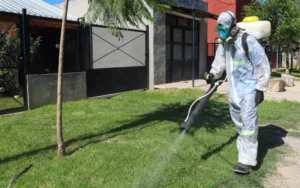El municipio refuerza las acciones para prevenir el dengue