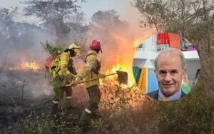 El nuevo subsecretario de Ambiente dijo que el Gobierno falló en la prevención de incendios