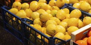 El precio del limón sube hasta $8.000 por kilo por la escasez.