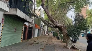 temporal Rosario