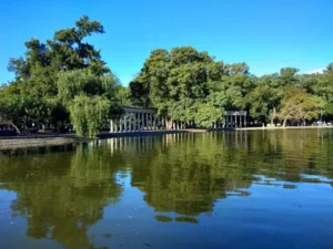 tiempo en rosario