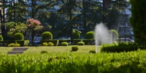 tiempo en rosario