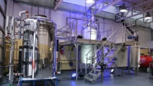 Inmet crea un plástico biodegradable