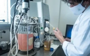 Empresa rosarina produce plásticos biodegradable con residuos