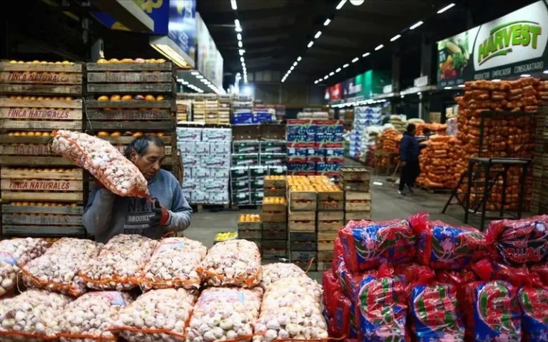 En 2024 creció 82% la importación de alimentos