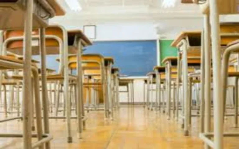 En 2025 el Gobierno invertirá el 0,88% del PBI en educación