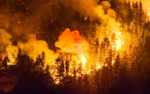 En Chubut, confirman que 22 de los 32 incendios están apagados.