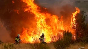 En Chubut, los incendios ya quemaron más de 35.000 hectáreas.