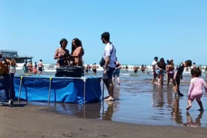 Mar del Plata: una familia llevó una pelopincho a una playa.