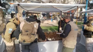 Mendoza: secuestraron artesanías hechas con restos de animales protegidos