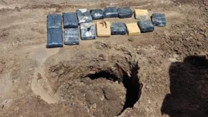 Encuentran 4 kilos de marihuana enterrada en el penal de Las Flores.