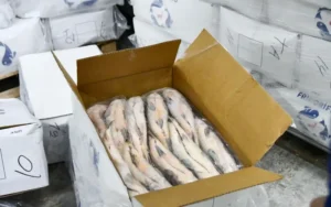 Exportación de pescado: Pescadores rosarinos cuestionan la medida de Santa Fe