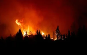Fuego en el sur: Se consumieron 11 mil hectáreas en Epuyén y Bariloche