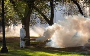 Fumigación: el municipio continúa con los operativos en plazas y espacios verdes
