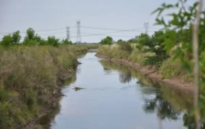 Funes: Proponen crear un área natural protegida de 500 hectáreas
