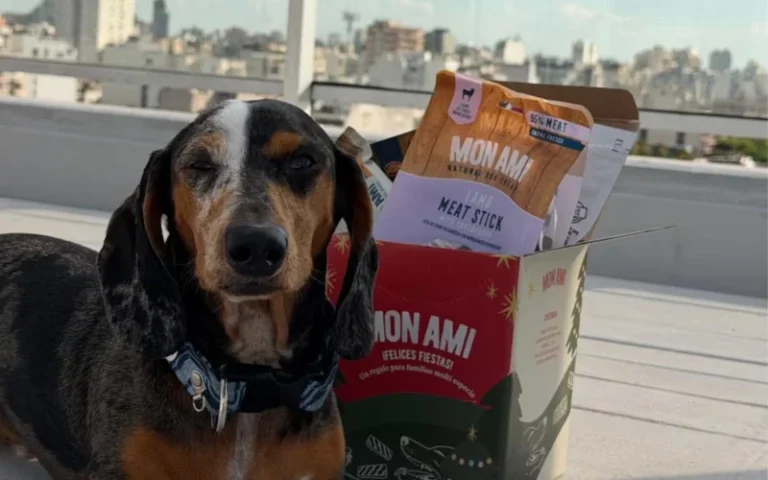 Furor por las cajas navideñas para perros y gatos