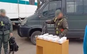Gendarmería secuestró más de 10 kilos de cocaína en un colectivo gracias al trabajo de "Canina Jelinek"