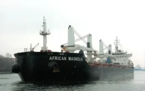 General Lagos: llegó un buque de Nigeria con un tripulante muerto y se realizaron controles sanitarios