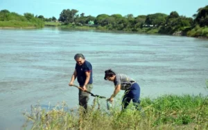 Glifosato en Sudamérica: Los niveles más altos se encontraron en uno de los arroyos afluentes del Paraná