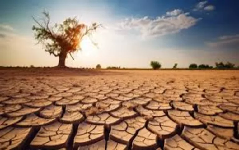 Gran parte de la Tierra podría convertirse en un lugar inhabitable