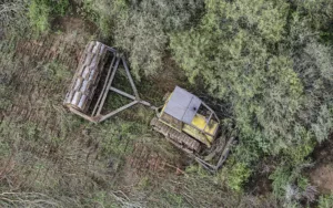 Greenpeace contra Argentina por el aumento de desmontes