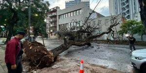 Hay 250 mil hogares sin luz tras el temporal que azotó el AMBA.