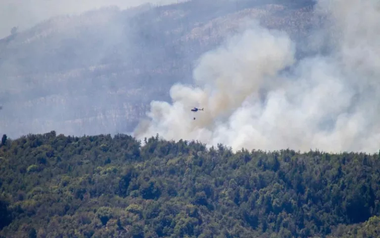 Continúa el incendio en el Parque Nacional Los Alerces