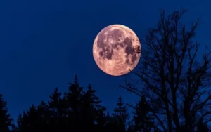 Hoy habrá noche de la Luna Rosa