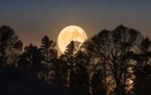 Hoy habrá superluna del Castor