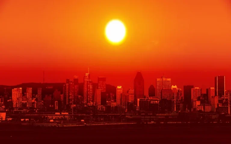 Hubo 12 meses consecutivos de calor extremo en el mundo