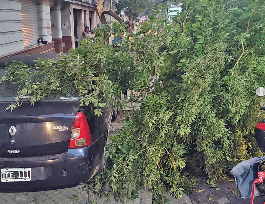 Una mujer se descompensó y su auto impactó contra un árbol