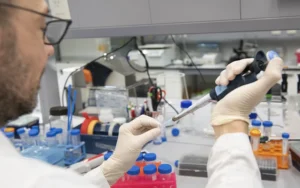 Identifican una molécula que regula la respuesta al estrés