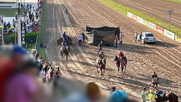 Hipódromo Rosario caballo que se quiebra es sacrificado