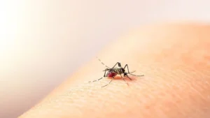 Feria de salud en Rosario por el Día Internacional del Dengue