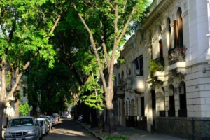 Impulsan reordenamiento de la protección del patrimonio histórico