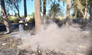 Un sector del Bosque de los Constituyentes se incendió en la tarde del domingo.