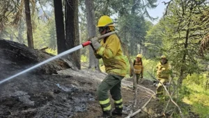 Santafesinos asisten en los incendios de la Patagonia