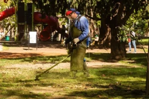 limpieza y desmalezado en Rosario